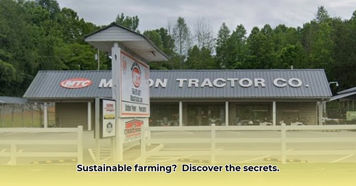 mason-tractor-hiawassee-georgia